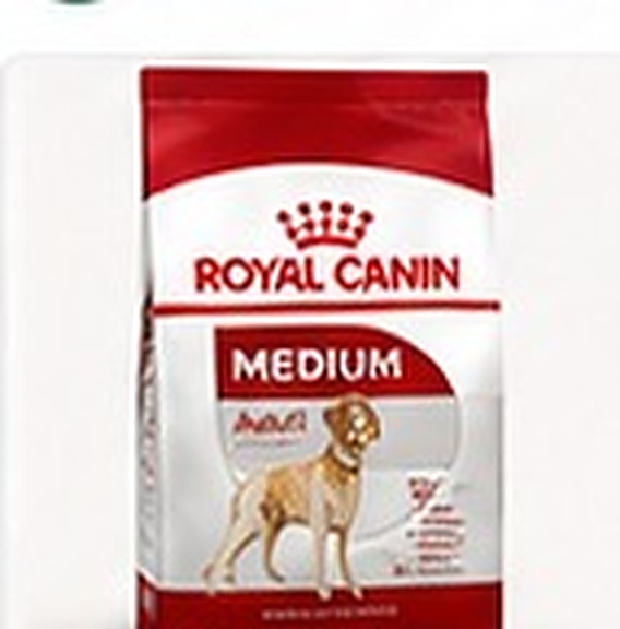Pet Food Bowl